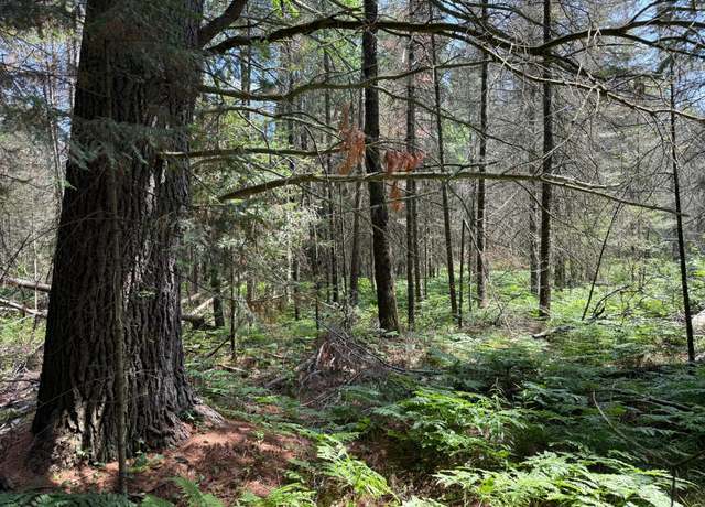 Property at 3280 Murmuring Pines Trl, Pelican, WI 54463