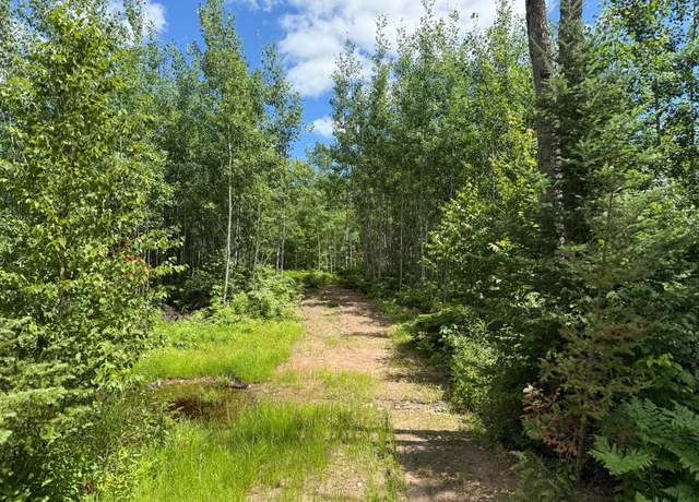 Property at Lot 4 Grundy Rd, Tomahawk, WI 54487