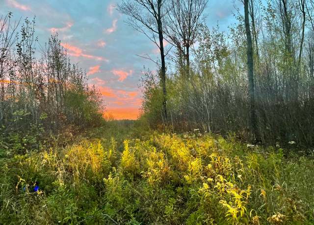 Property at ON Musser Dr, Phillips, WI 54555