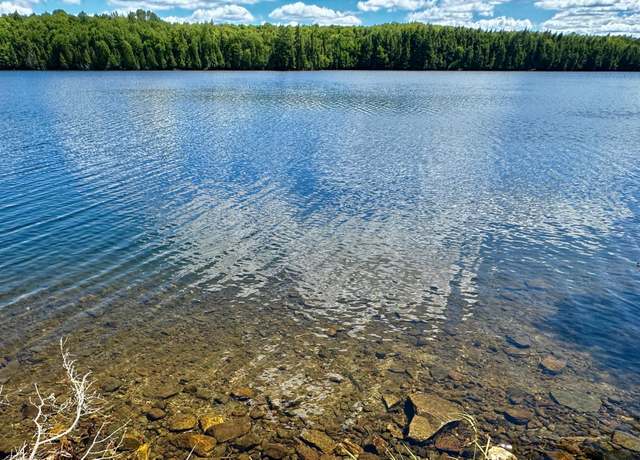 Property at ON Beatons Lake Rd, Watersmeet, MI 49969