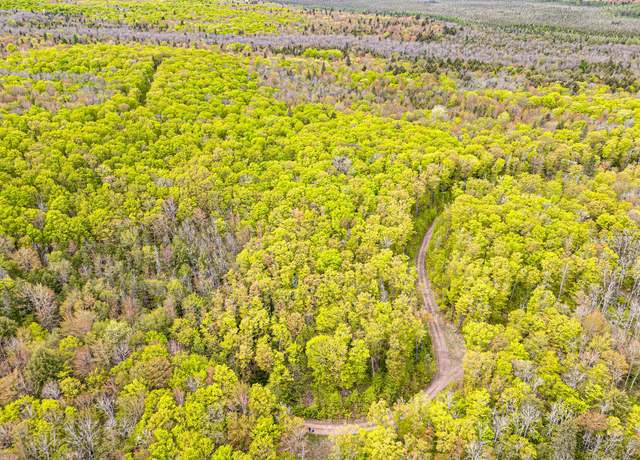 Property at ON Forest Rd 8300, Marenisco, MI 49947