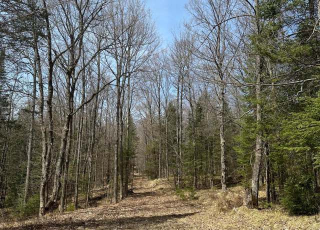 Property at ON Germond Rd, Rhinelander, WI 54501