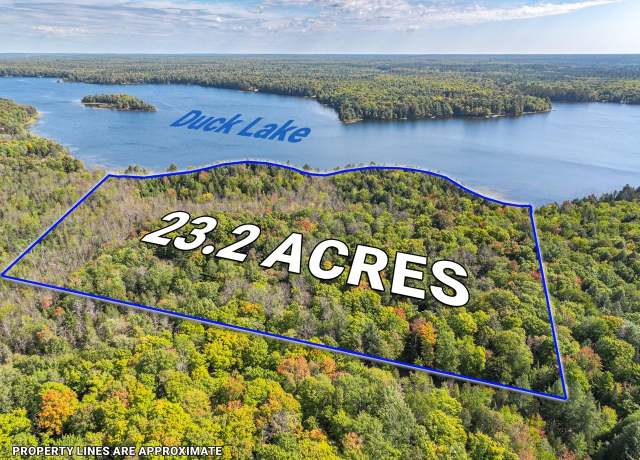 Property at Off Duck Lake Rd E, Land O Lakes, MI 49969