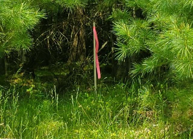 Property at Off Cth J, WI 54568