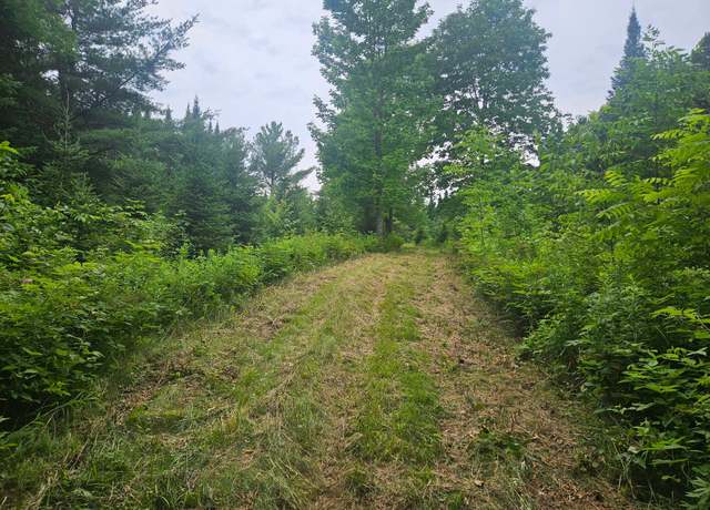 Property at 00 Cth H, Irma, WI 54442