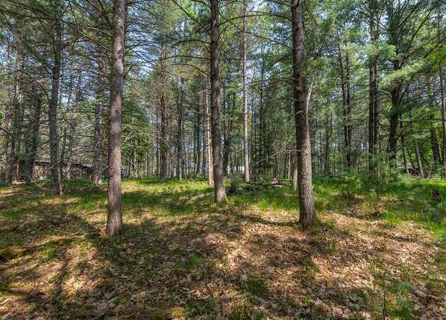 Property at Off Holiday Dr E, St Germain, WI 54558
