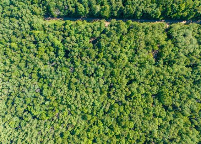 Property at 11142 Dream Lake Rd Lot 2&3, Long Lake, WI 54542