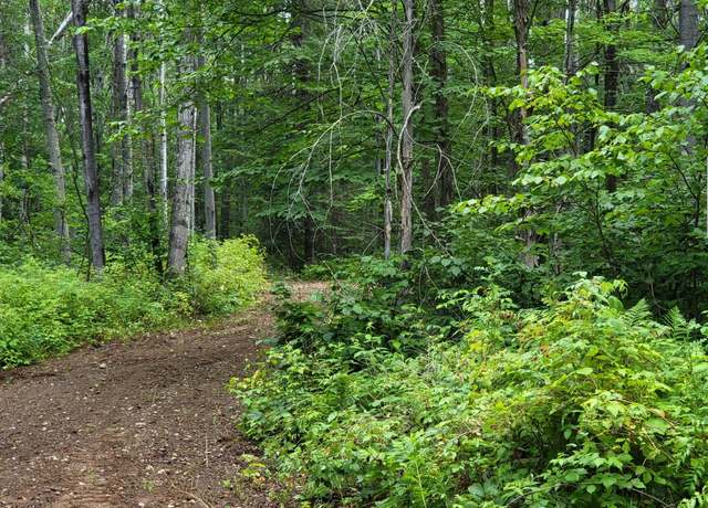 Property at 11142 Dream Lake Rd Lot 3, Long Lake, WI 54542