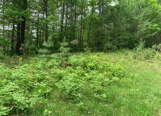 Property at Lot 9 Somo Dam Dr, Tomahawk, WI 54487