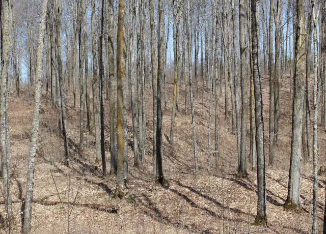 Property at ON Will Rd Unit 40 acres, Mellen, WI 54546