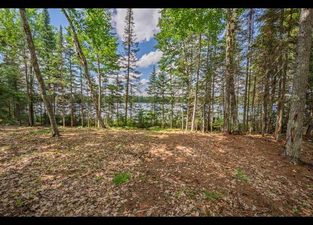 Property at Lot 160 Clearwater Lake Trl, Eagle River, WI 54521