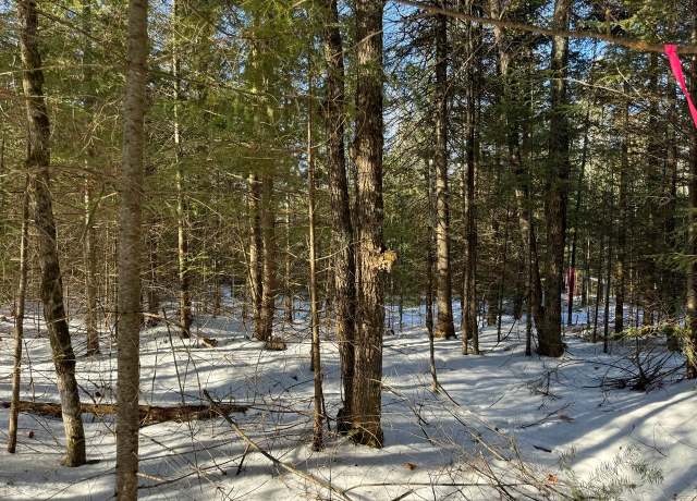 Property at LT 4 638 Mercer Lake Crk S, Mercer, WI 54547