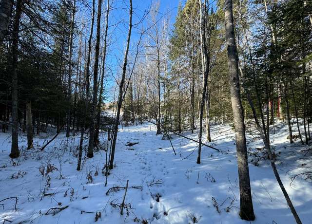 Property at LT 5 638 Mercer Lake Crk S, Mercer, WI 54547