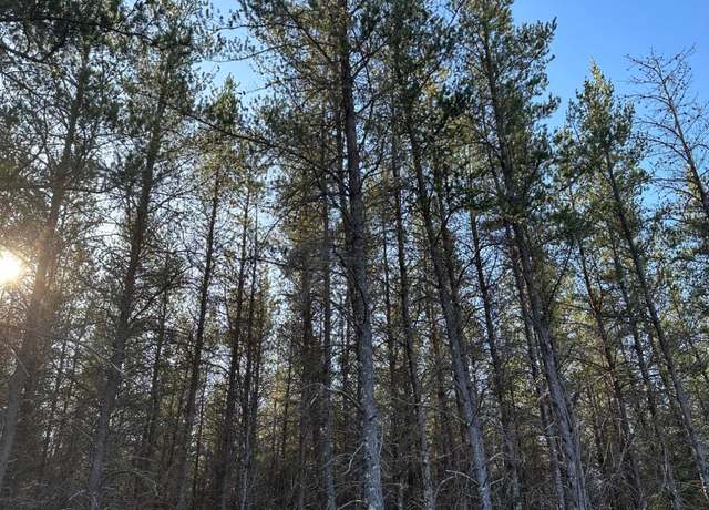 Property at ON Lower Kaubashine Rd Unit 4094-6, Hazelhurst, WI 54531