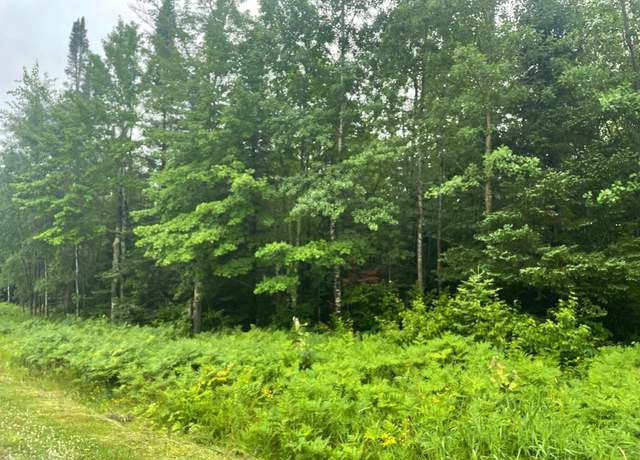 Property at ON Cth N Unit 40+/- A, Glidden, WI 54527