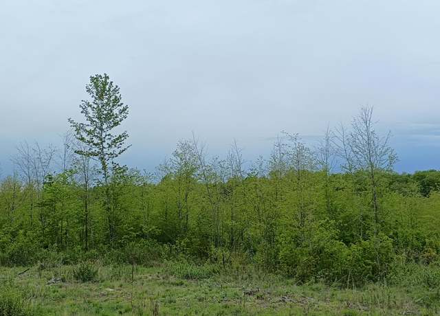 Property at Ac Off New Shanagolden Rd Unit 39.98+/-, Butternut, WI 54514