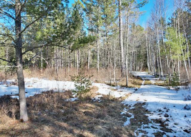 Property at Off Spirit Wood Trl, Land O' Lakes, WI 54540