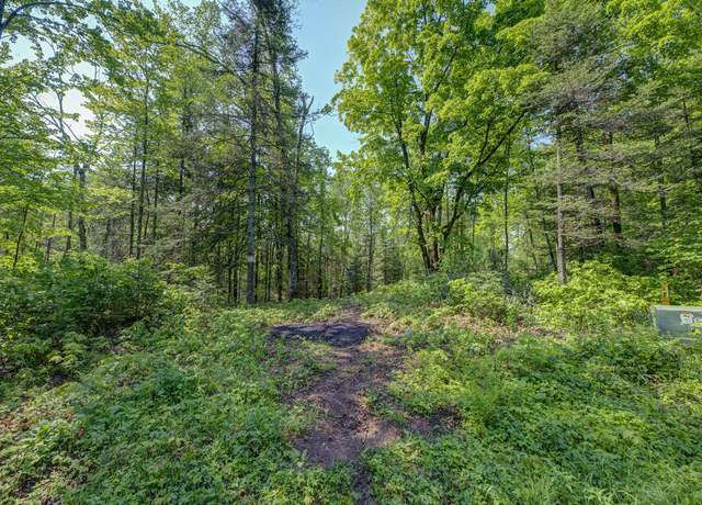 Property at Lot 24 Gemstone Rd, Presque Isle, WI 54557