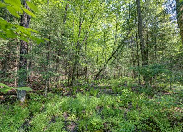Property at Lot 12 Upstream Dr, Presque Isle, WI 54557