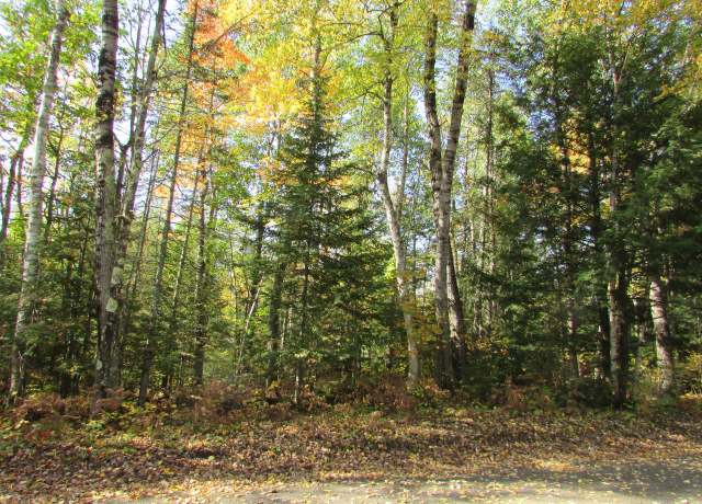 Property at ON Middle Sugarbush Ln, Lac Du Flambeau, WI 54538