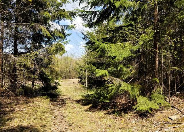 Property at Lot2 off Saxon Rd, Montreal, WI 54550