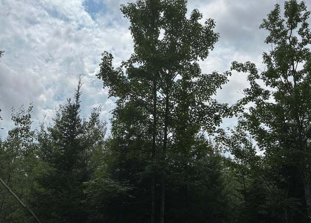 Property at ON Cth Y Lot 1, Tomahawk, WI 54487