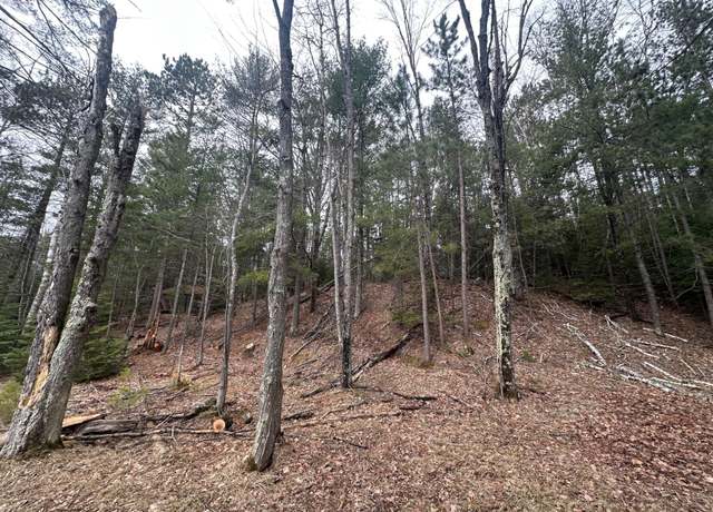 Property at Lot 3 On Chain O Lakes Rd, Eagle River, WI 54521