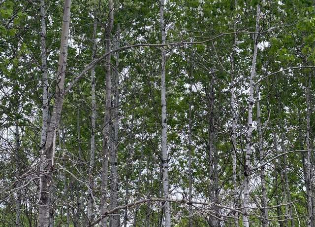 Property at ON Kelly Fire Ln Lot 1, Tomahawk, WI 54487