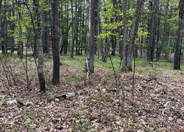 Property at Lot 100 Trailwood Dr, WI 54548