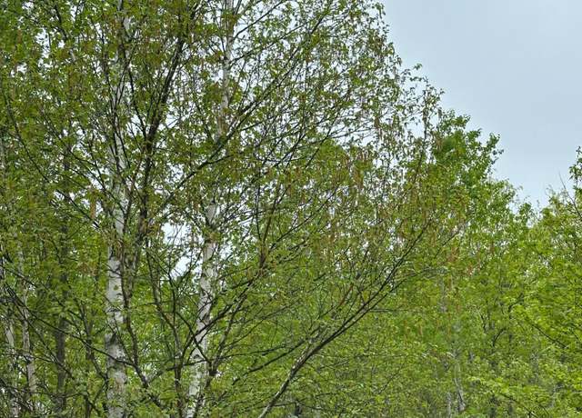 Property at ON Kelly Fire Ln Lot 2, Tomahawk, WI 54487