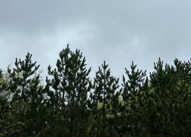 Property at ON Kelly Fire Ln Lot 6, Tomahawk, WI 54487