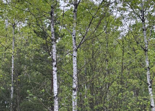 Property at ON Kelly Dam Rd Lot 7, Tomahawk, WI 54487