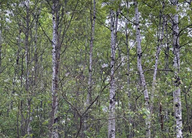 Property at ON Kelly Dam Rd Lot 8, Tomahawk, WI 54487