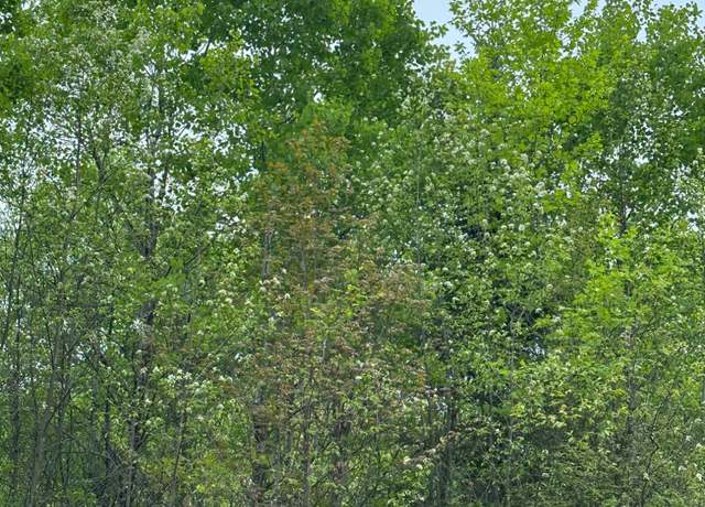 Property at ON Kelly Dam Rd Lot 9, Tomahawk, WI 54487