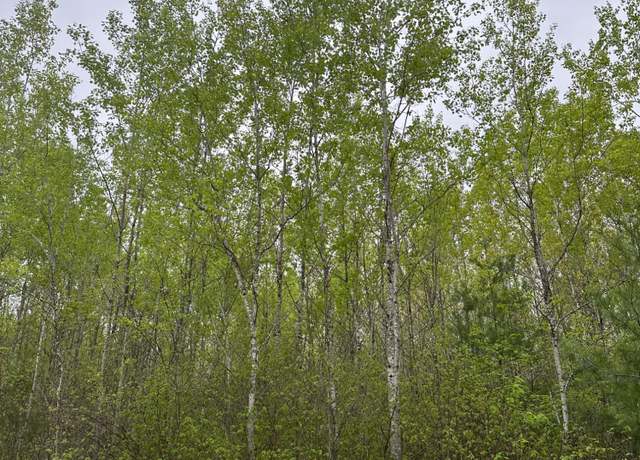 Property at ON Burrows Lake Rd Lot 1, Tomahawk, WI 54487