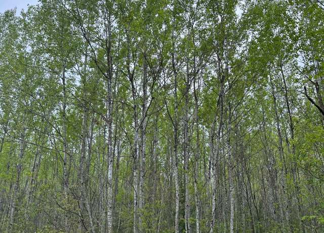 Property at ON Burrows Lake Rd Lot 2, Tomahawk, WI 54487
