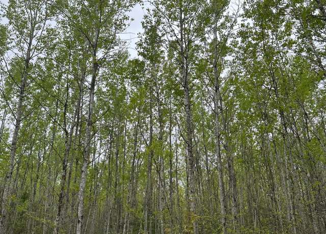 Property at ON Burrows Lake Rd Lot 3, Tomahawk, WI 54487