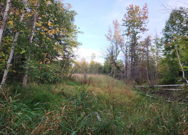 Property at 40AC OFF Noble Rd, MI 49953