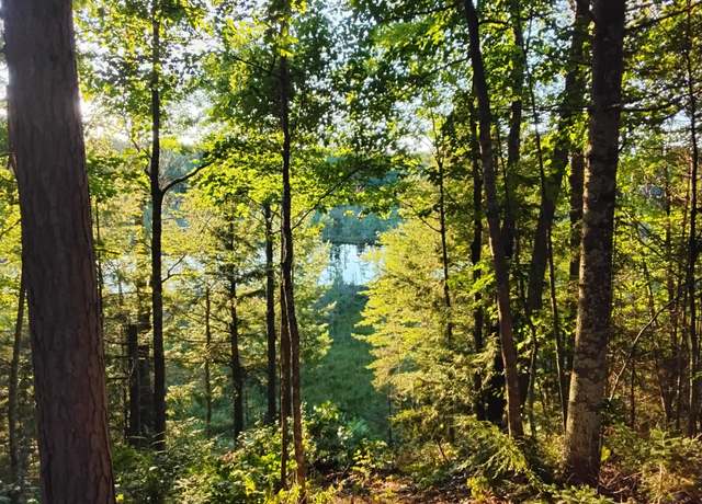 Property at 8765 Bo di Lac Dr N, Minocqua, WI 54548