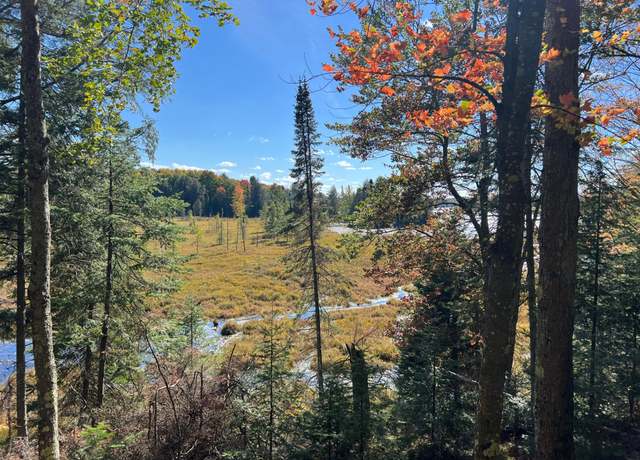 Property at ON Otter Ln Lot 1, Watersmeet, MI 49969