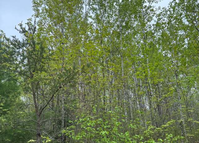Property at ON Burrows Lake Rd Lot 5, Tomahawk, WI 54487