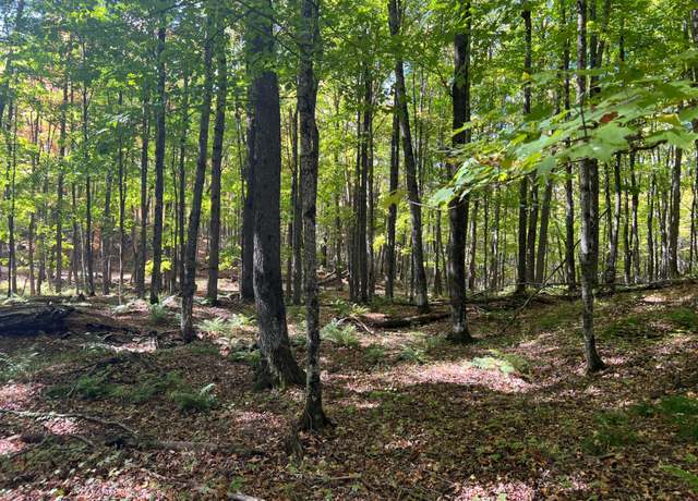 Property at ON Otter Ln Lot 2, Watersmeet, MI 49969