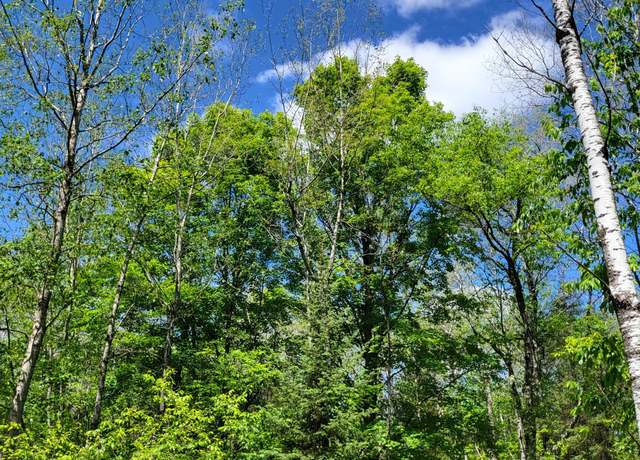 Property at Lot 2 Peshtigo River Rd, Goodman, WI 54125