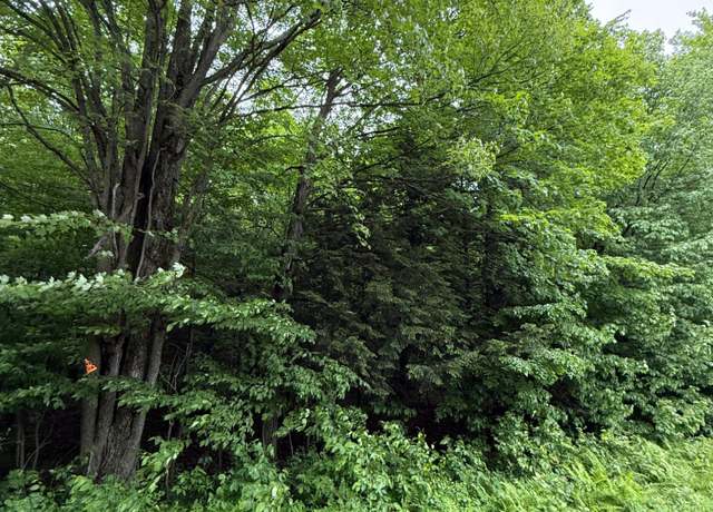 Property at ON Tobias Rd, Antigo, WI 54409