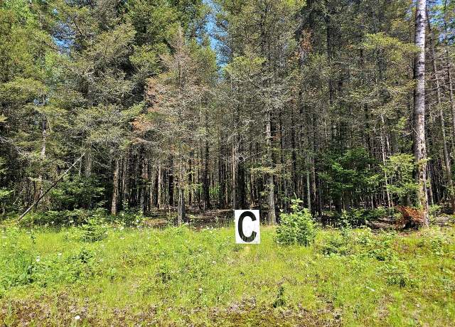 Property at Lot C Homers Rd, Mercer, WI 54547