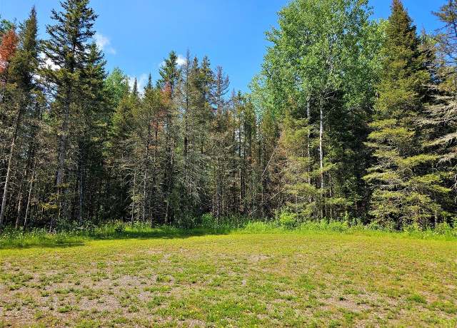 Property at Lot D Homers Rd, Mercer, WI 54547