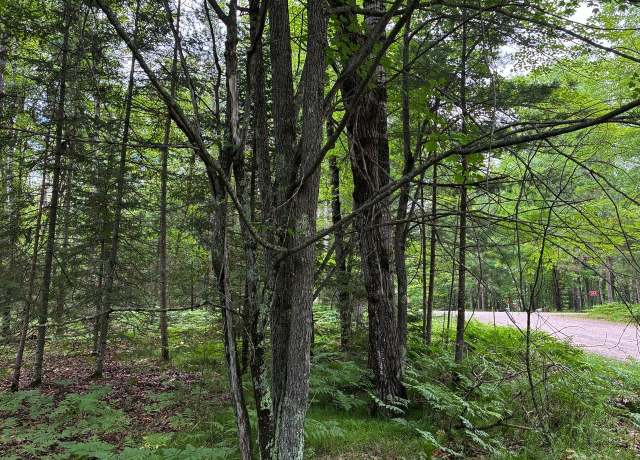 Property at ON Musky Dam Ln, Eagle River, WI 54521
