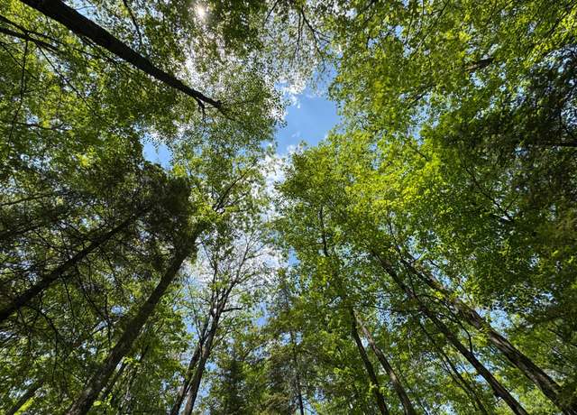 Property at 309/310 Deerwood Rd, Minocqua, WI 54548