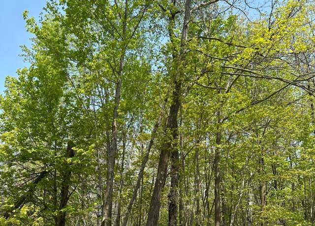 Property at ON Burrows Lake Rd Lot 12, Tomahawk, WI 54487