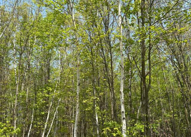 Property at ON Burrows Lake Rd Lot 13, Tomahawk, WI 54487